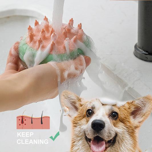 The Pawfect 2-in-1 Pet Cleaning Brush