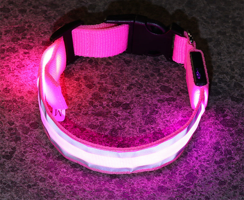 The Pawfect Nightlight – Anti-Lost LED Collar for Safe Night Walks!