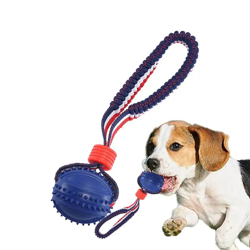 The Pawfect Chew & Chase Ball β For Indoor Zoomies & Outdoor Fu