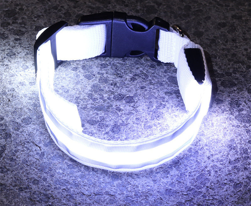 The Pawfect Nightlight – Anti-Lost LED Collar for Safe Night Walks!