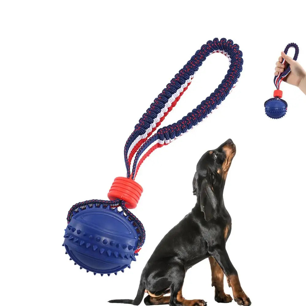 The Pawfect Chew & Chase Ball β For Indoor Zoomies & Outdoor Fu