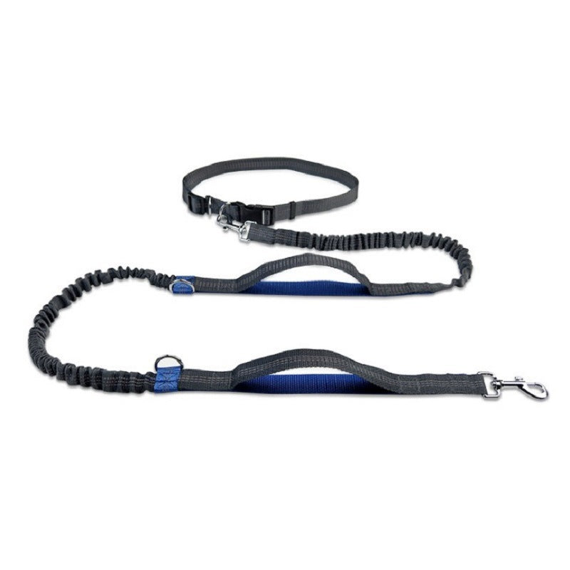 The Pawfect Explorer Lead β Built for Big Adventures