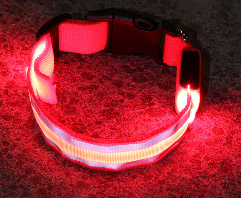 The Pawfect Nightlight – Anti-Lost LED Collar for Safe Night Walks!