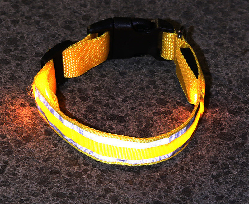 The Pawfect Nightlight – Anti-Lost LED Collar for Safe Night Walks!