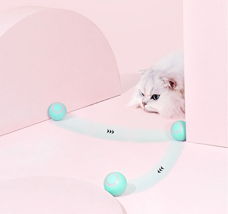 The Pawfect Rolling Ball for Cats