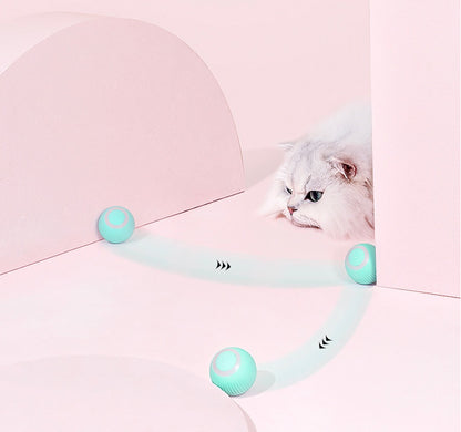 The Pawfect Rolling Ball for Cats