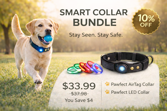 Smart Collar Bundle