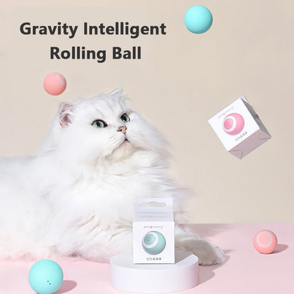 The Pawfect Rolling Ball for Cats