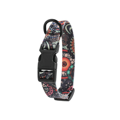The Pawfect Pup Collar – Built for Walks, Play, and Tail Wags