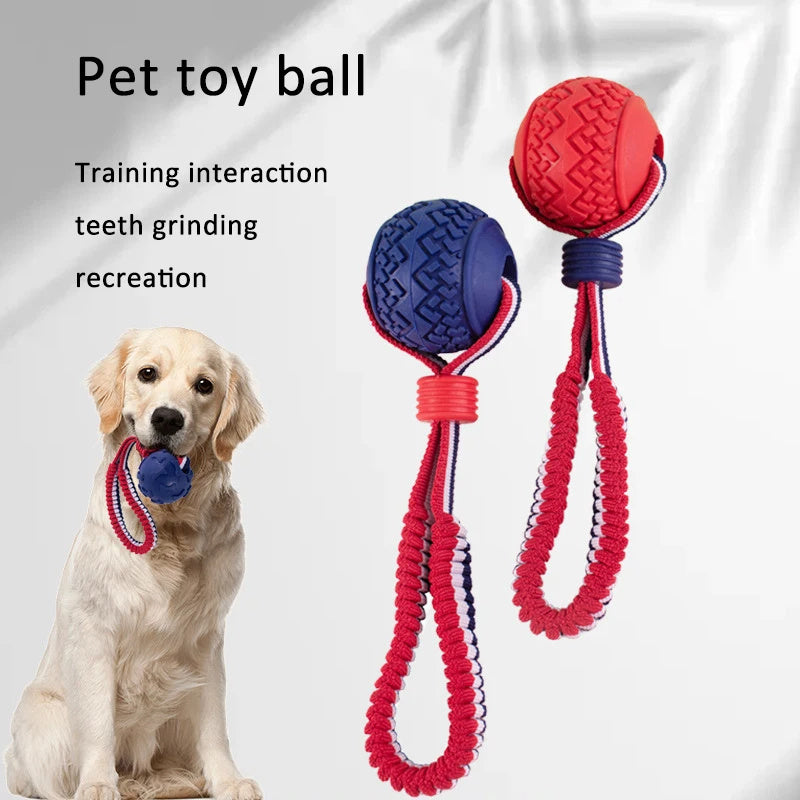 The Pawfect Chew & Chase Ball – For Indoor Zoomies & Outdoor Fu