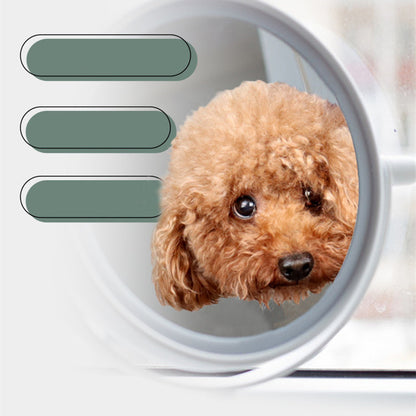 The Pawfect Grooming Hammock – Calm, Clip & Rela