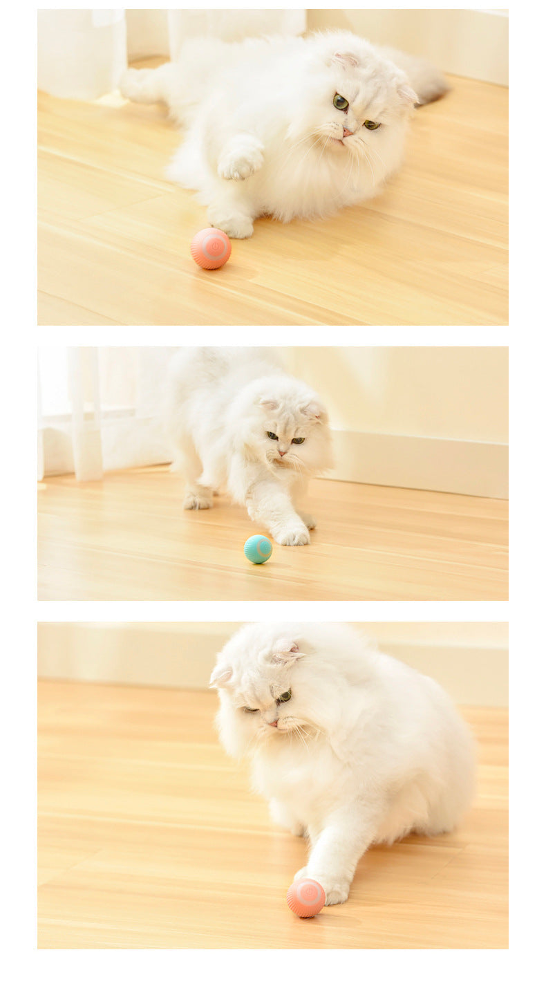 The Pawfect Rolling Ball for Cats