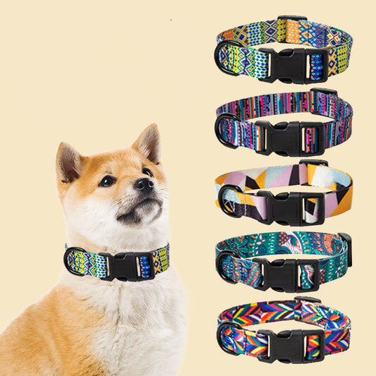 The Pawfect Pup Collar – Built for Walks, Play, and Tail Wags