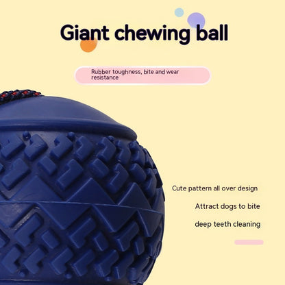 The Pawfect Chew & Chase Ball – For Indoor Zoomies & Outdoor Fu