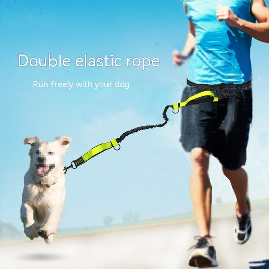 The Pawfect Explorer Lead – Built for Big Adventures
