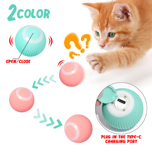 The Pawfect Rolling Ball for Cats