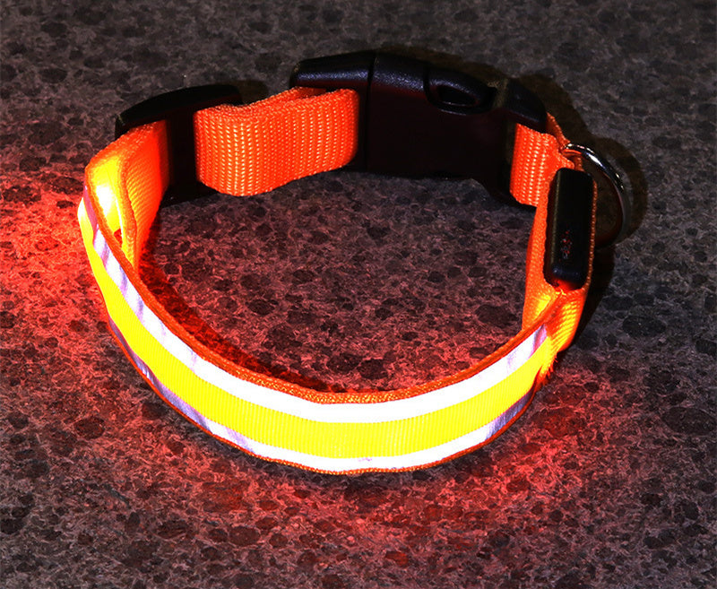 The Pawfect Nightlight – Anti-Lost LED Collar for Safe Night Walks!