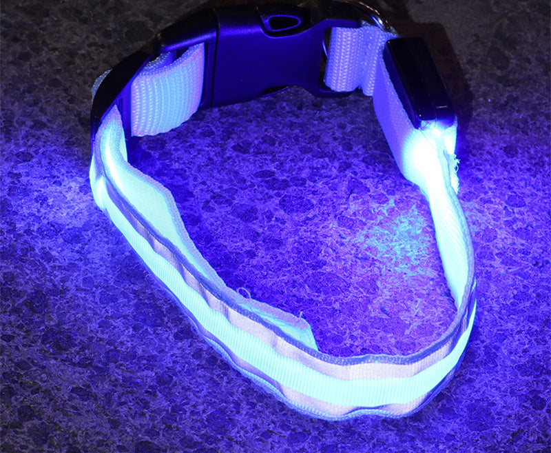 The Pawfect Nightlight – Anti-Lost LED Collar for Safe Night Walks!