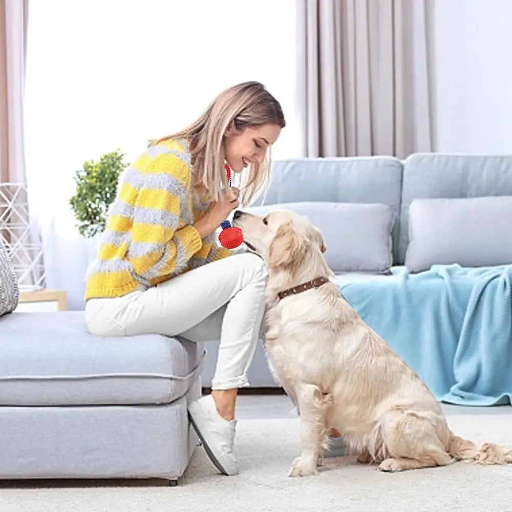 The Pawfect Chew & Chase Ball – For Indoor Zoomies & Outdoor Fu