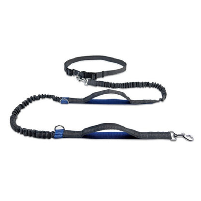 The Pawfect Explorer Lead – Built for Big Adventures