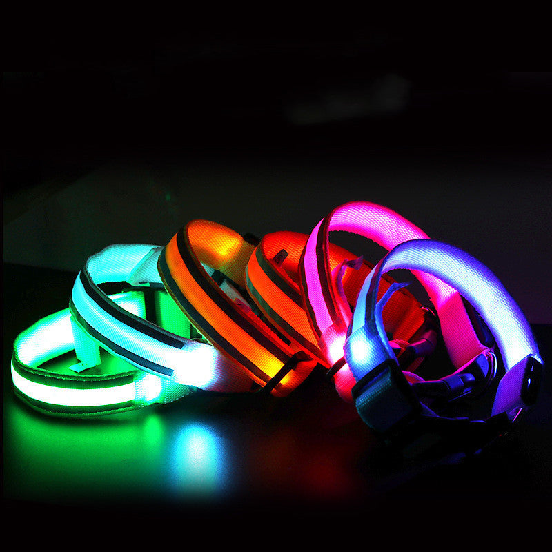 The Pawfect Nightlight – Anti-Lost LED Collar for Safe Night Walks!