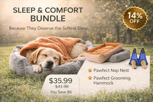 Sleep & Comfort Bundle