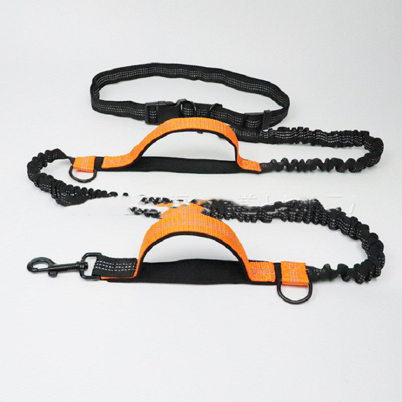 The Pawfect Explorer Lead – Built for Big Adventures